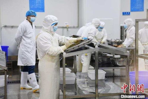 爾濱 帶起 特產大摸底 ,我老家也開出 隱藏款