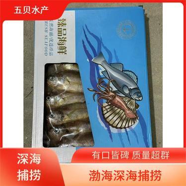 鮮蝦現在多少錢一斤