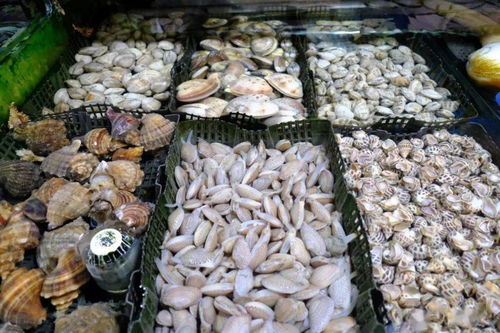 你買過嗎 南寧這些地方售賣的海鮮被檢出不合格