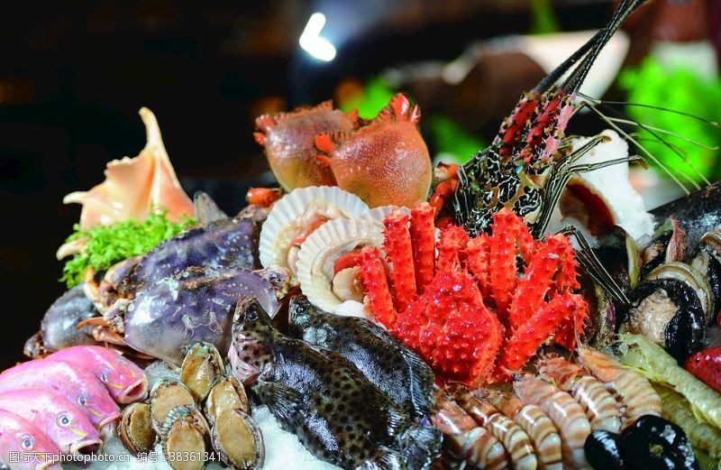 魚蝦蟹圖片素材