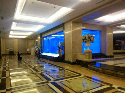 浙江酒店海鮮池廠家圖片|浙江酒店海鮮池廠家產(chǎn)品圖片由上海保翔魚缸制作公司公司生產(chǎn)提供-